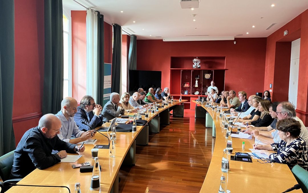 Télépaese : Économie : l&rsquo;ADEC et l&rsquo;ATC analysent la situation de l&rsquo;île