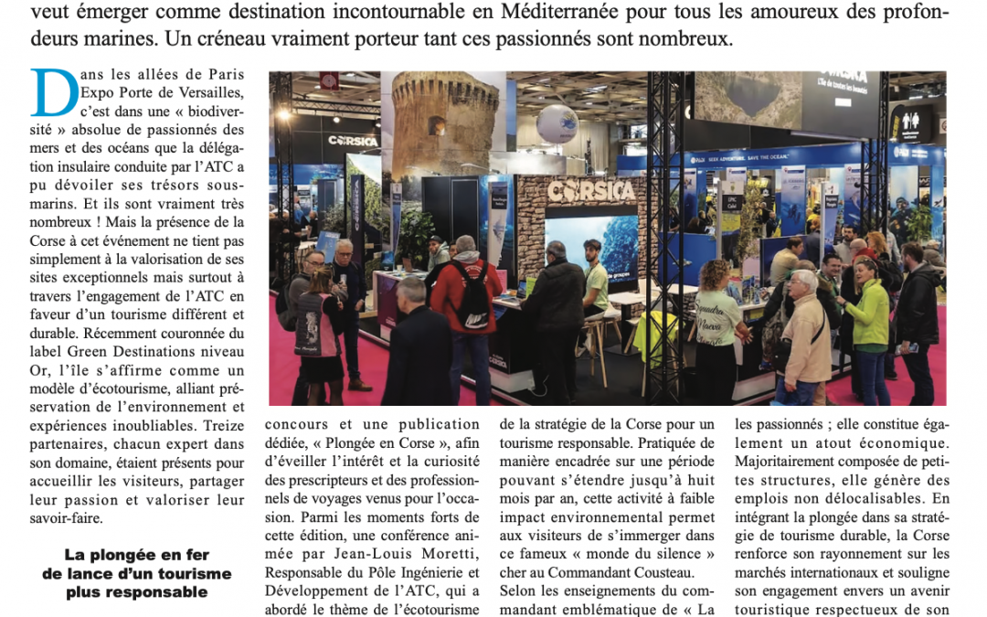 Le Petit Bastiais « Un marché de la plongée encore en devenir »