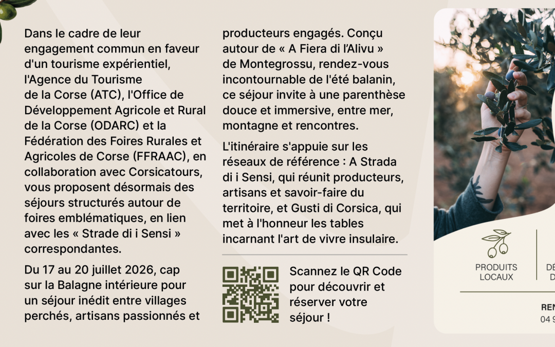 Corse-Matin : « Tourisme expérimentiel : lancement d&rsquo;un produit inédit autour de A Fiera di l&rsquo;Alivu »